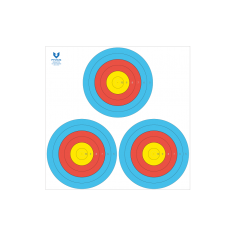 6링 3복수PT-007A3(48cm)(10장)