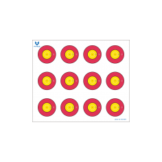 2링 트레이닝12복수 PT-020(10장)