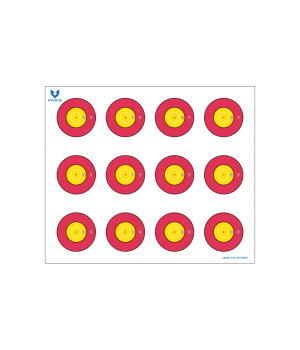 2링 트레이닝12복수 PT-020(10장)